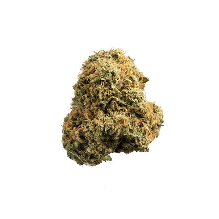 avaay 21/1 BKR – Black Krush - Image 3